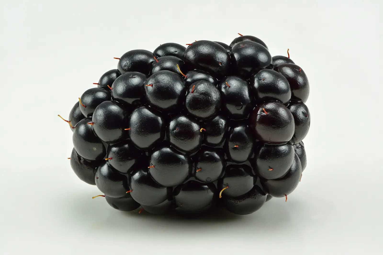 Gervuogė 'Triple Crown'