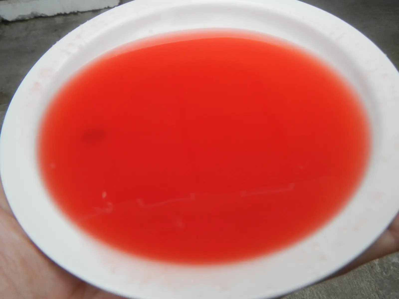 Mini arbūzas 'Sugar Baby' (Citrullus lanatus 'Sugar Baby')