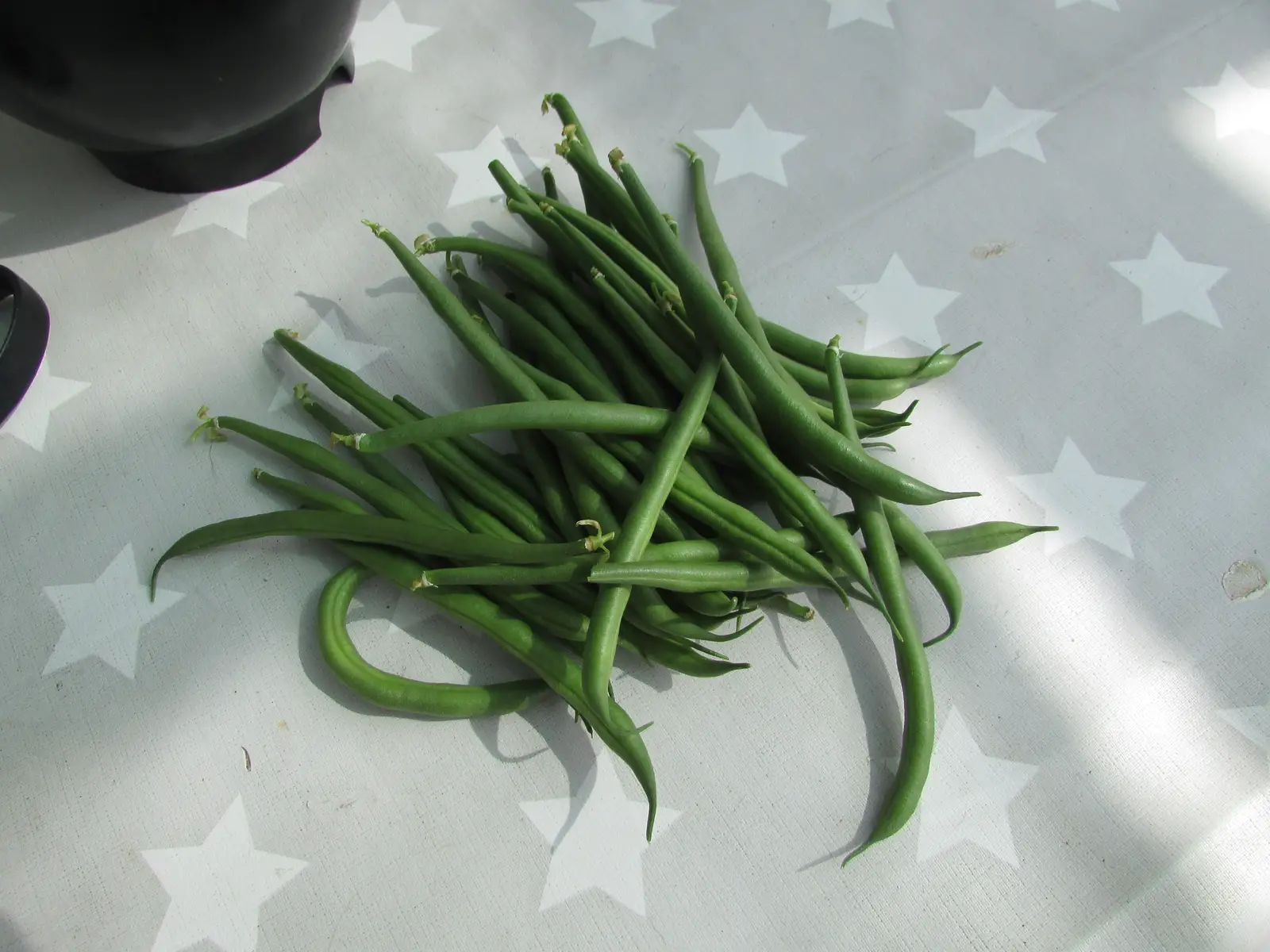 Krūminės pupelės 'Harvester' (Žaliosios pupelės)